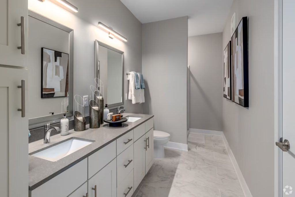 vintage-wilson-farms-fort-mill-sc-the-b2d---primary-bathroom