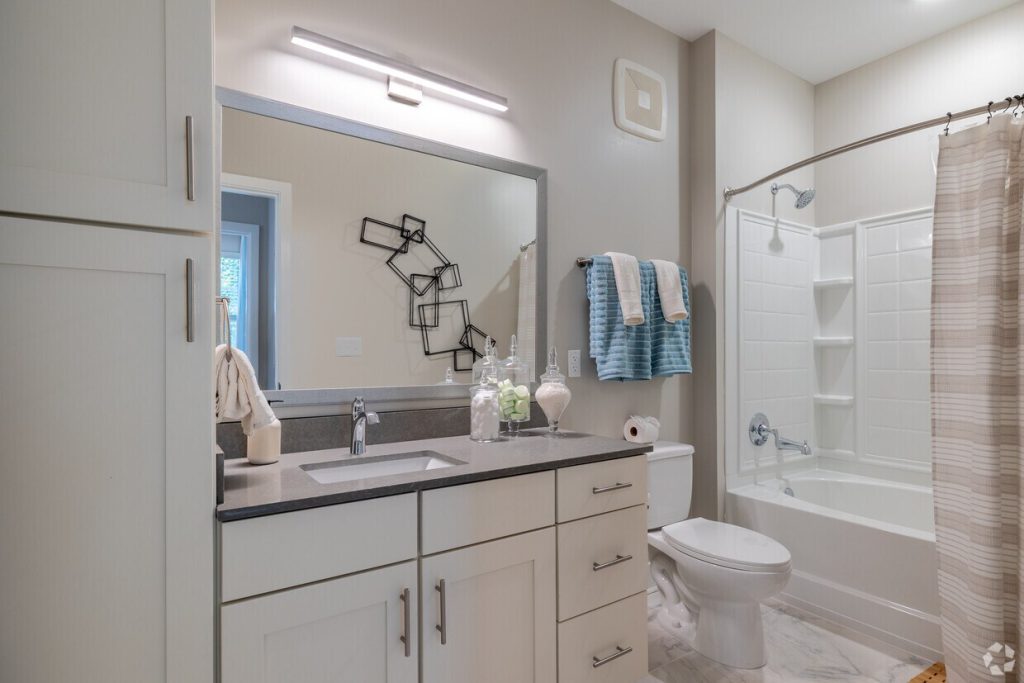 vintage-wilson-farms-fort-mill-sc-the-b2d---second-bathroom